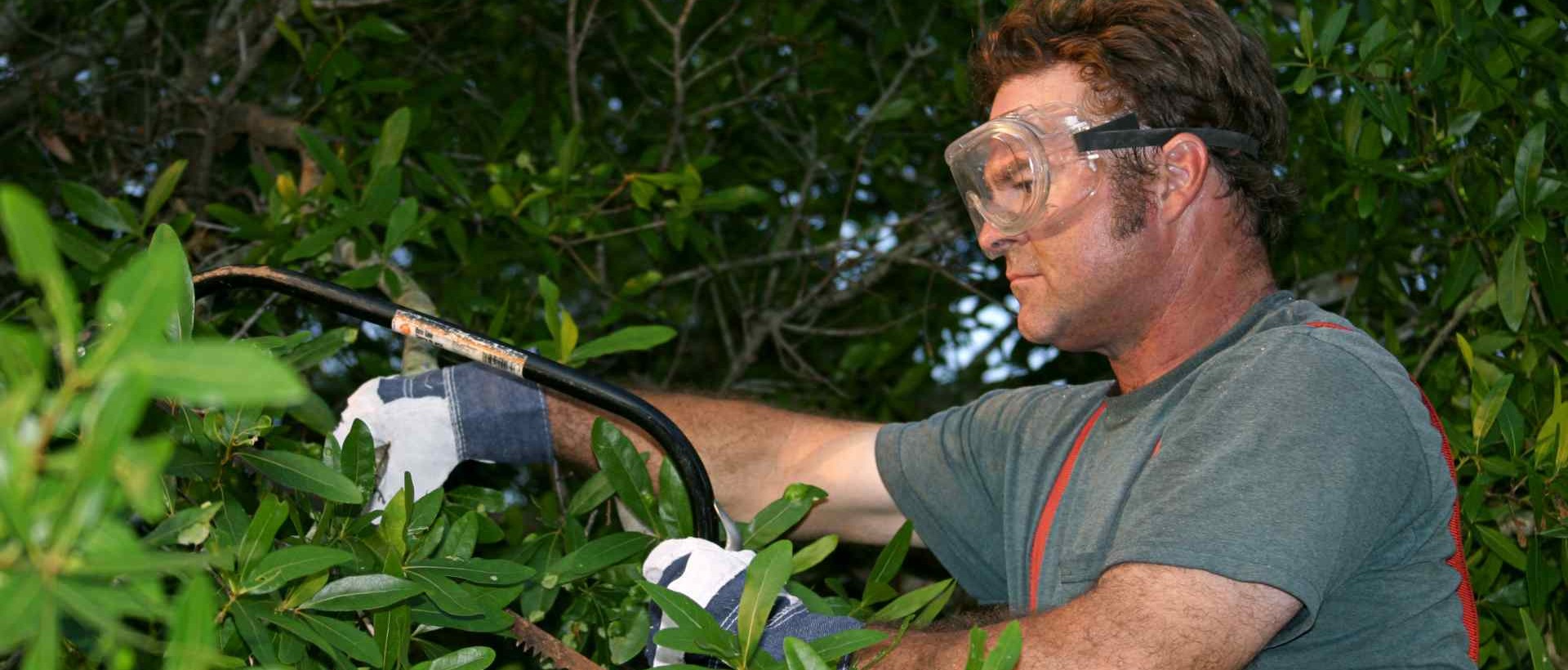 garden clearance TW9, TW10